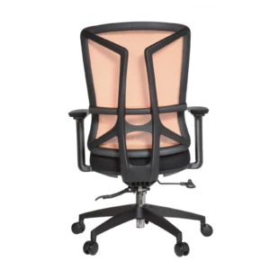 Barke IMG_0003 Barke Secretary Chair