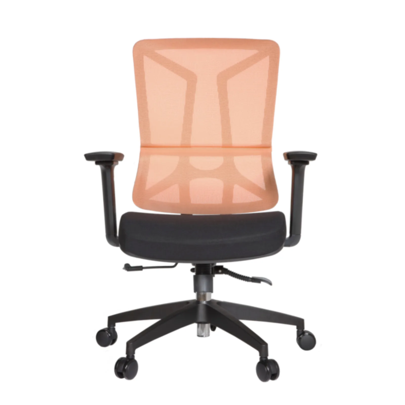 Barke IMG_0005 Barke Secretary Chair