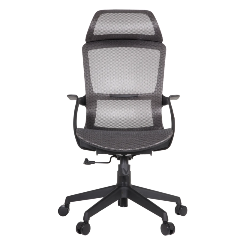 Century IMG_0005_3 Century Ergonomic Mesh Chair