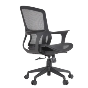 Century IMG_0007_1 Century Ergonomic Mesh Chair