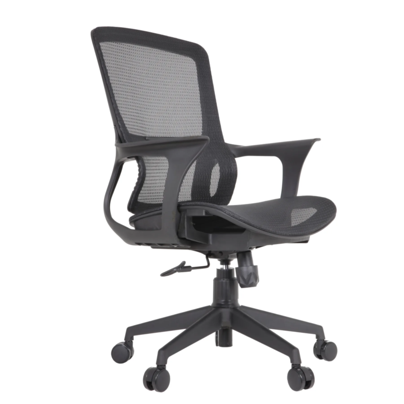 Century IMG_0007_1 Century Ergonomic Mesh Chair