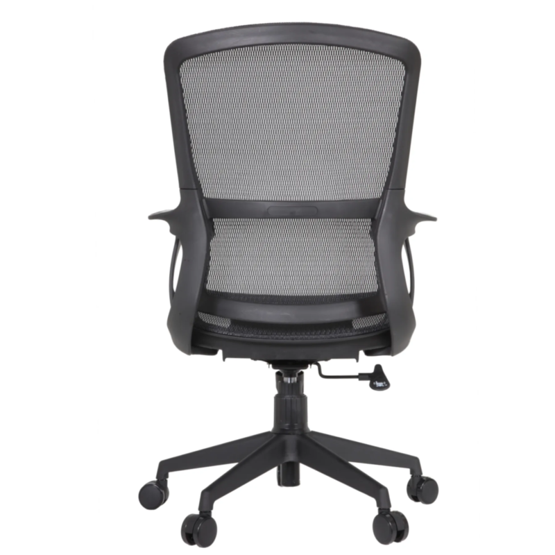 Century IMG_0010_1 Century Ergonomic Mesh Chair