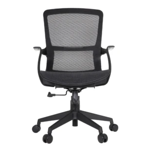 Century IMG_0011_1 Century Ergonomic Mesh Chair