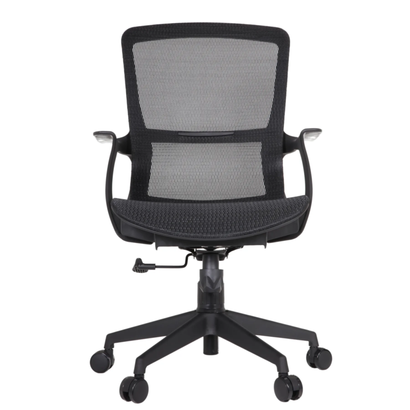 Century IMG_0011_1 Century Ergonomic Mesh Chair