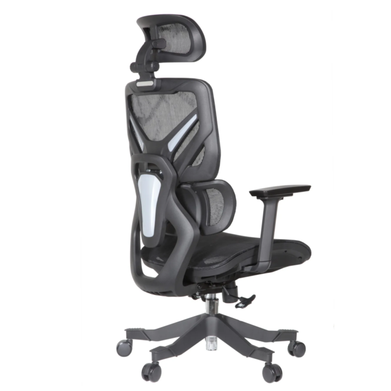 Cuda Ergonomic Mesh Chair