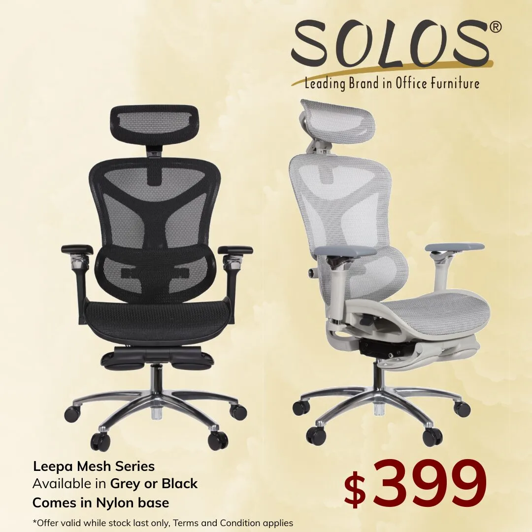 Leepa Ergonomic Mesh Chair