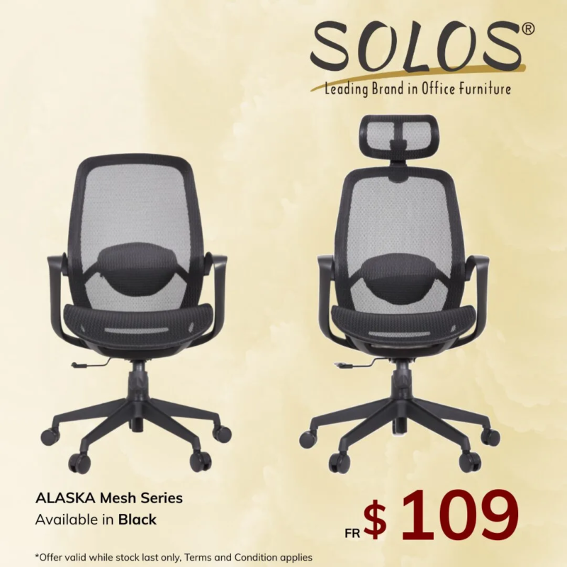 FB ADS 30_10_25 (3) Alaska Ergonomic Mesh Chair