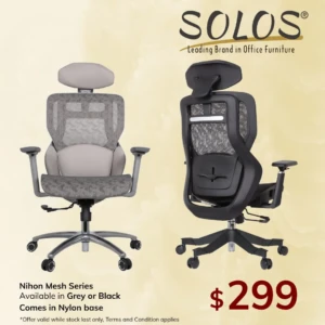 Nihon Ergonomic Mesh Chair