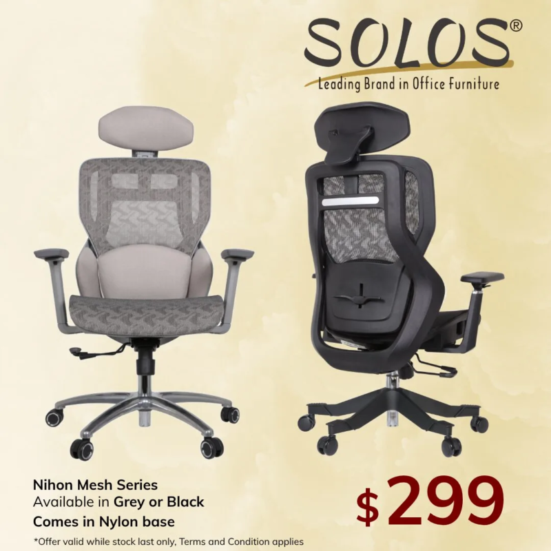 FB ADS 30_10_25 (3) (4) Nihon Ergonomic Mesh Chair