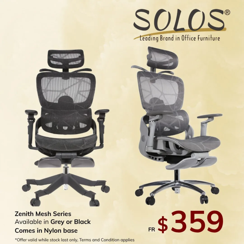 Zenith Ergonomic Mesh Chair