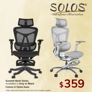 Summit Ergonomic Mesh Chair