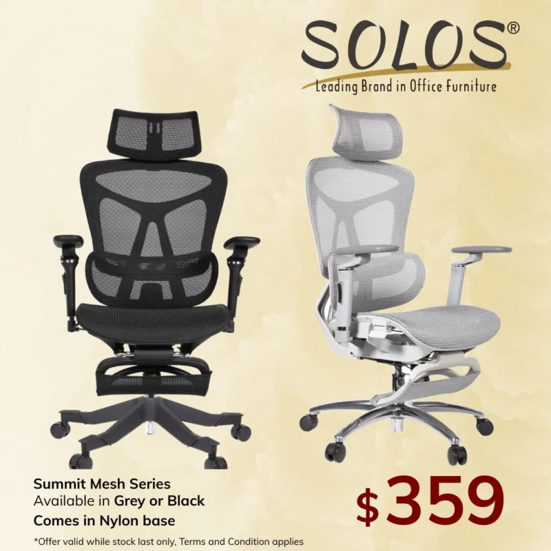 FB ADS 30_10_25 (3) (7) Summit Ergonomic Mesh Chair