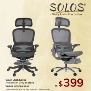 FB ADS 30_10_25 (3) (8) Gavin Ergonomic Mesh Chair