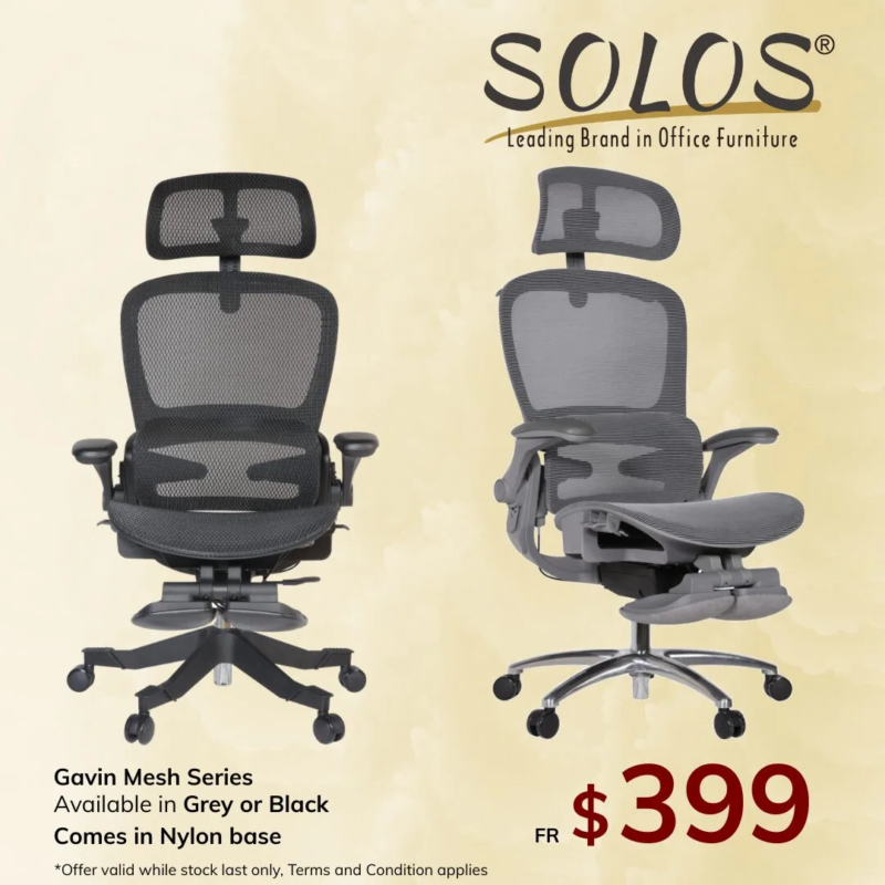 Gavin Ergonomic Mesh Chair