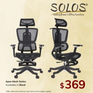 Apex Ergonomic Mesh Chair