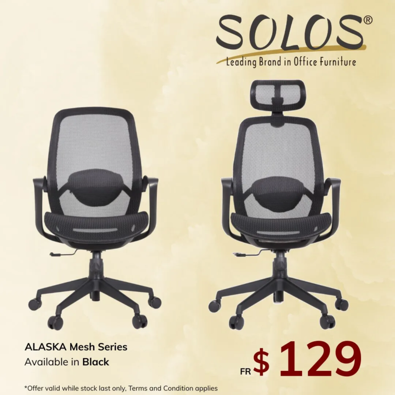FB ADS 301025 (3) Alaska Ergonomic Mesh Chair