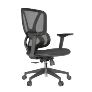 Gana IMG_0016 Gana Secretary Chair