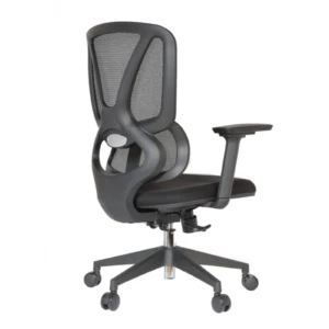 Gana IMG_0017 Gana Secretary Chair