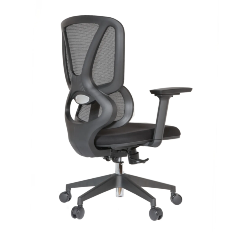 Gana IMG_0017 Gana Secretary Chair