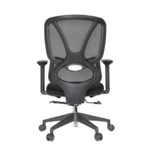 Gana IMG_0018 Gana Secretary Chair
