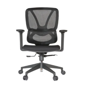 Gana IMG_0019 Gana Secretary Chair