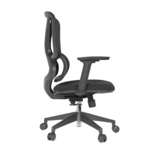Gana IMG_0020 Gana Secretary Chair