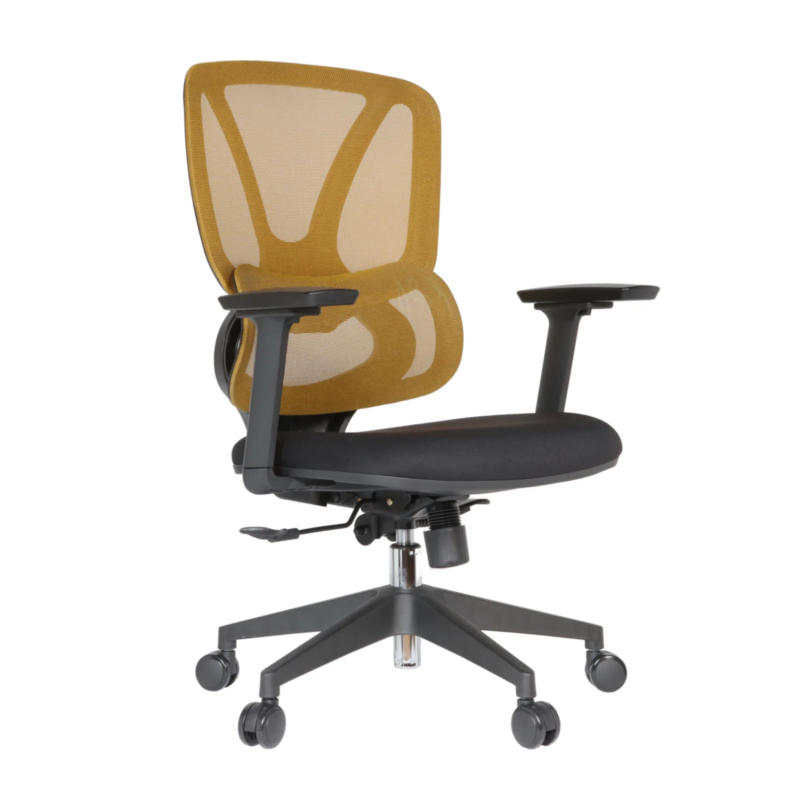 Gana IMG_0021 Gana Secretary Chair