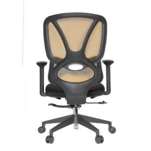 Gana IMG_0023 Gana Secretary Chair