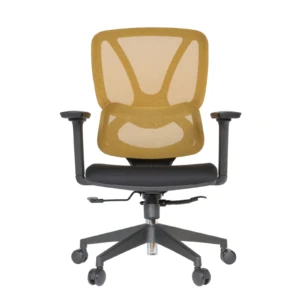 Gana IMG_0024 Gana Secretary Chair