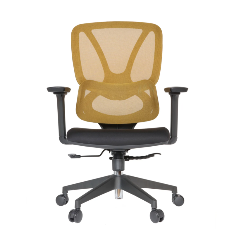 Gana IMG_0024 Gana Secretary Chair
