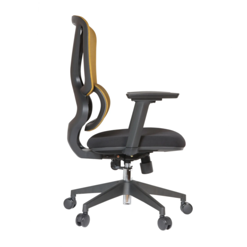 Gana IMG_0025 Gana Secretary Chair