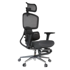 Isabel IMG_0008_1 Isabel Executive Chair
