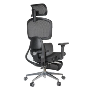 Isabel IMG_0009_2 Isabel Executive Chair