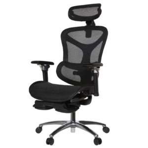 Leepa Ergonomic Mesh Chair