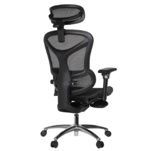 Leepa Ergonomic Mesh Chair