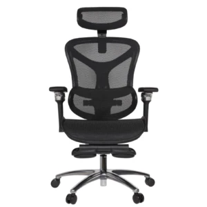 Leepa Ergonomic Mesh Chair