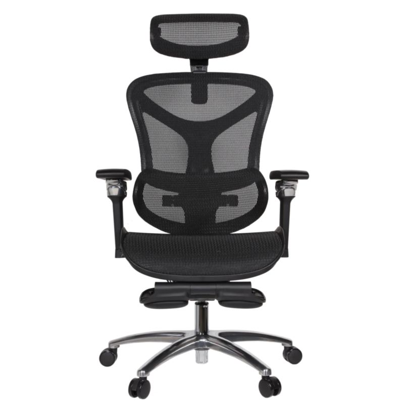 Leepa Ergonomic Mesh Chair