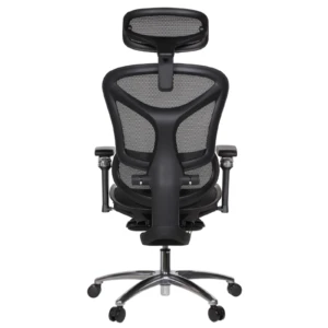 Leepa Ergonomic Mesh Chair