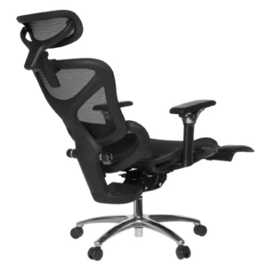 Leepa Ergonomic Mesh Chair
