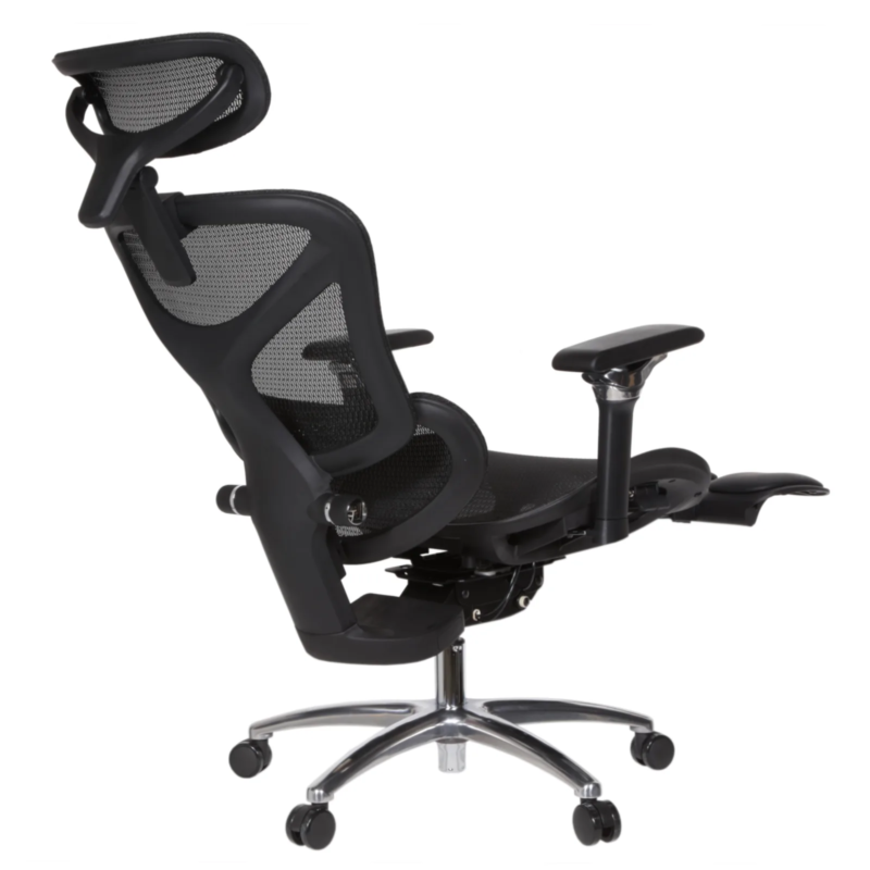 Leepa Ergonomic Mesh Chair