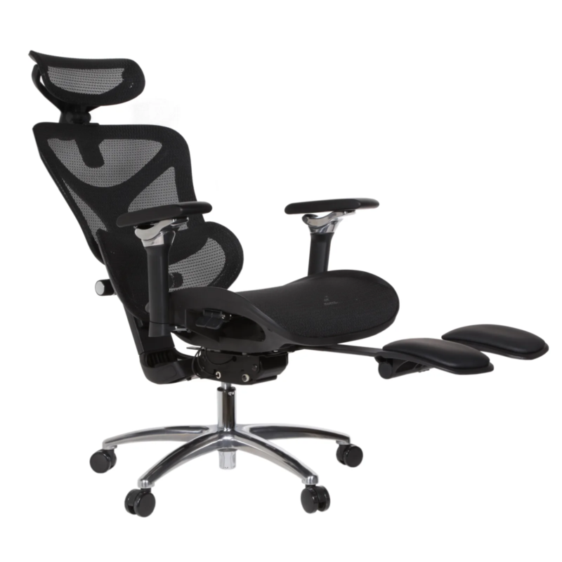 Leepa Ergonomic Mesh Chair
