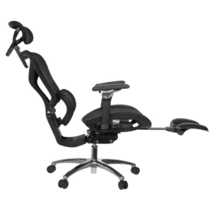 Leepa Ergonomic Mesh Chair
