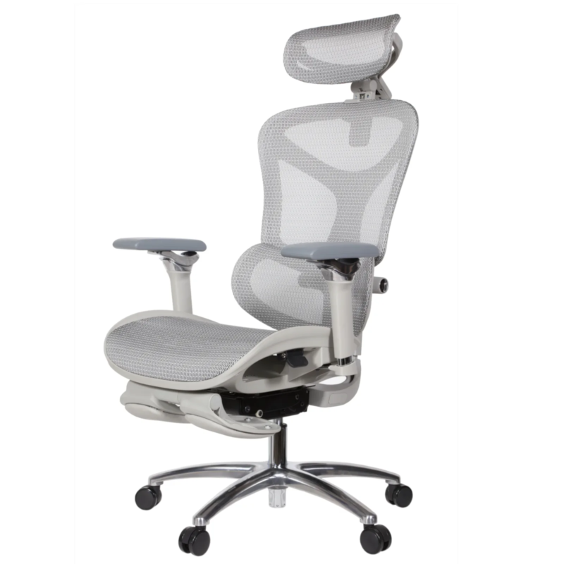 Leepa Ergonomic Mesh Chair