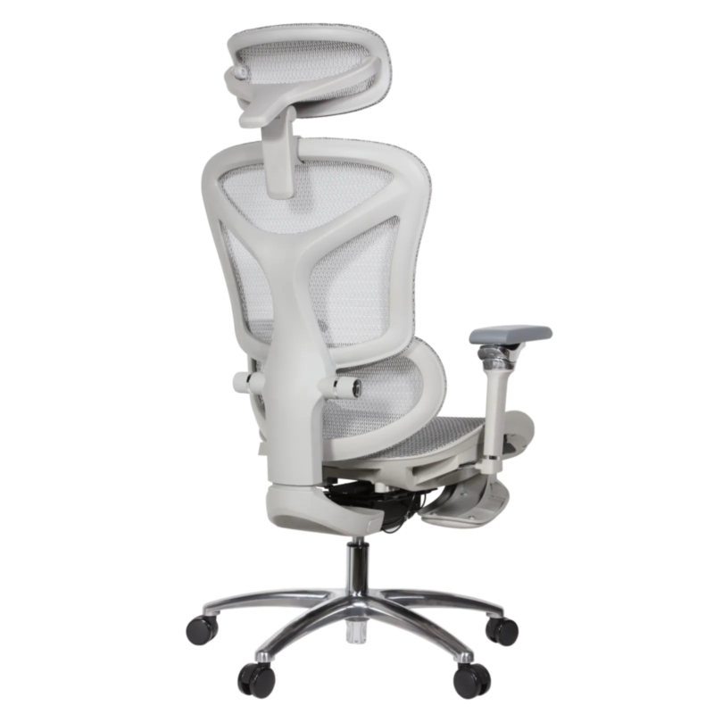 Leepa Ergonomic Mesh Chair
