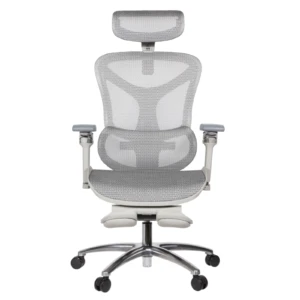 Leepa Ergonomic Mesh Chair