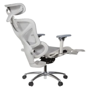 Leepa Ergonomic Mesh Chair