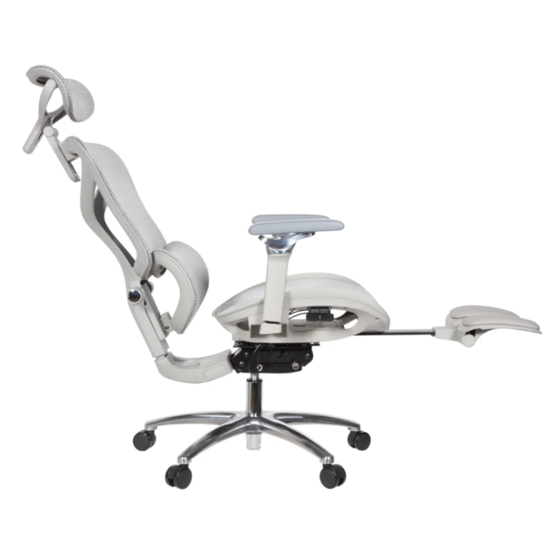 Leepa Ergonomic Mesh Chair