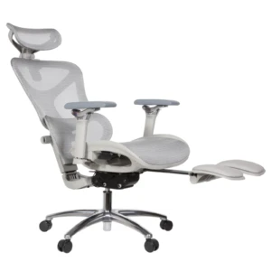 Leepa Ergonomic Mesh Chair
