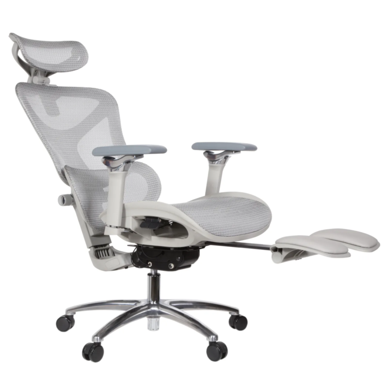 Leepa Ergonomic Mesh Chair