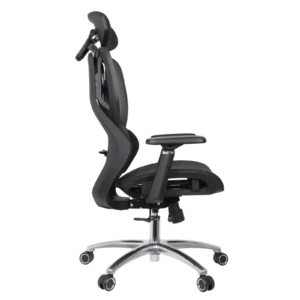 Nihon Ergonomic Mesh Chair